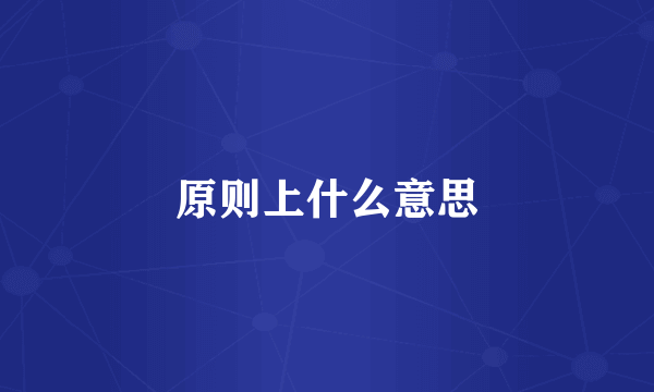 原则上什么意思