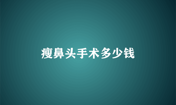 瘦鼻头手术多少钱