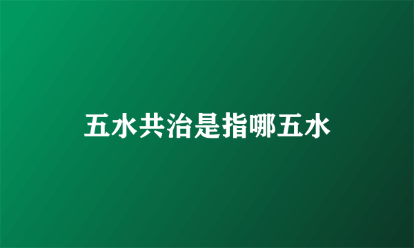 五水共治是指哪五水