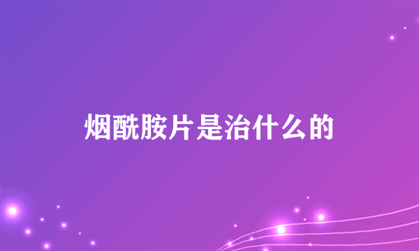 烟酰胺片是治什么的
