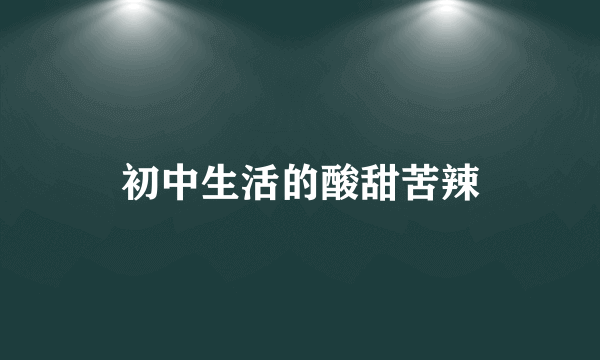 初中生活的酸甜苦辣