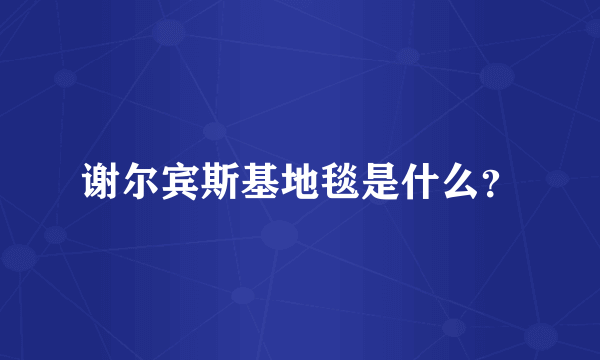 谢尔宾斯基地毯是什么？