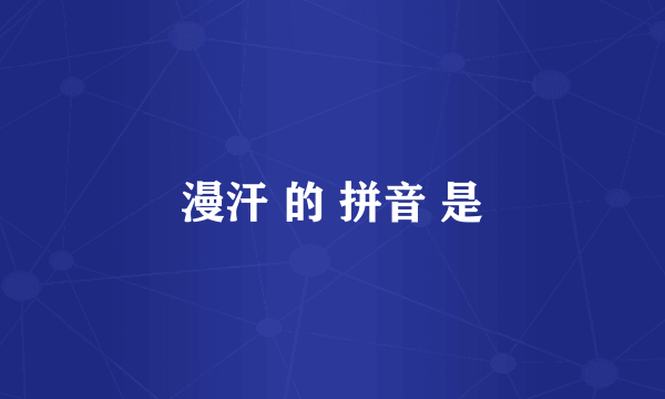 漫汗 的 拼音 是