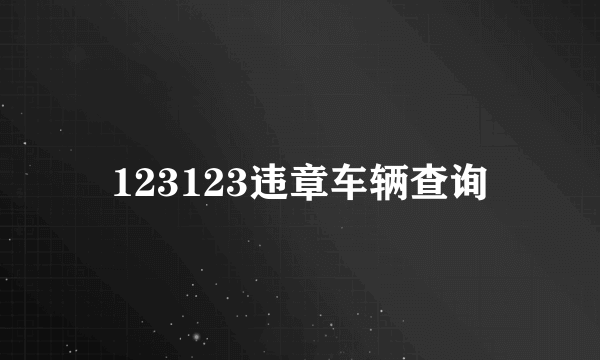 123123违章车辆查询
