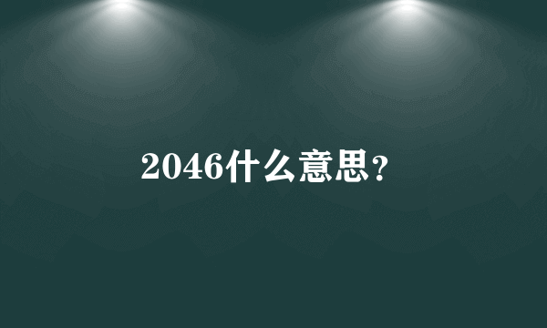 2046什么意思？