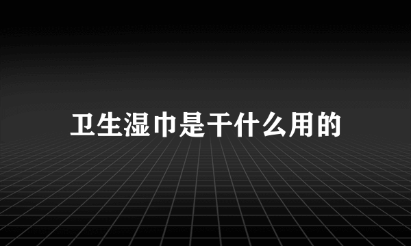 卫生湿巾是干什么用的