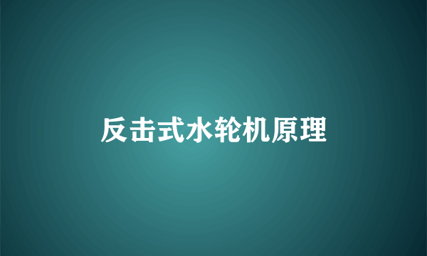 反击式水轮机原理