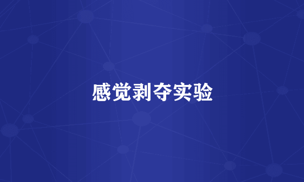 感觉剥夺实验