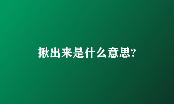 揪出来是什么意思?