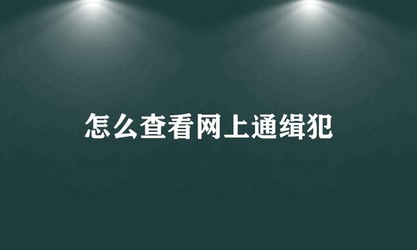 怎么查看网上通缉犯