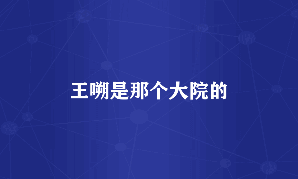 王嗍是那个大院的