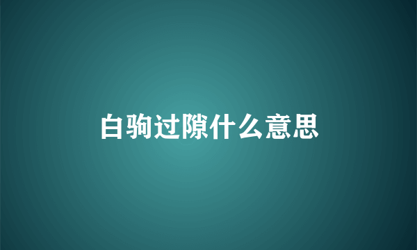 白驹过隙什么意思