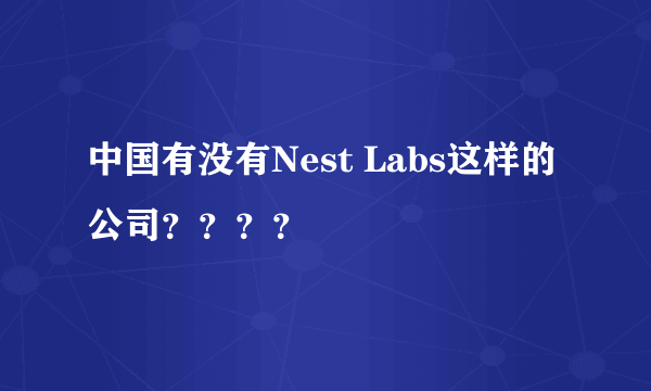 中国有没有Nest Labs这样的公司？？？？