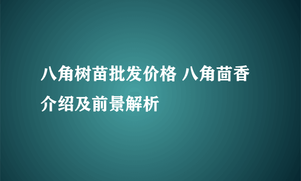 八角树苗批发价格 八角茴香介绍及前景解析