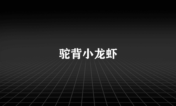 驼背小龙虾