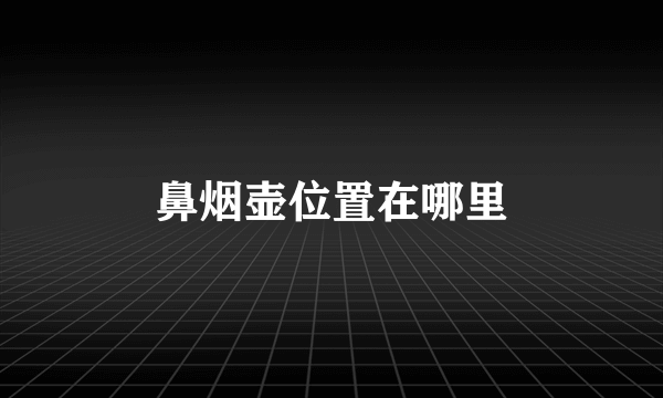 鼻烟壶位置在哪里