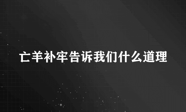 亡羊补牢告诉我们什么道理