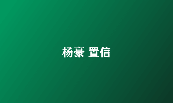 杨豪 置信