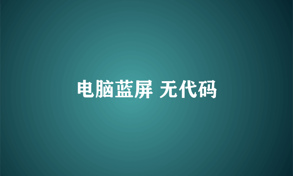 电脑蓝屏 无代码