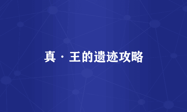 真·王的遗迹攻略