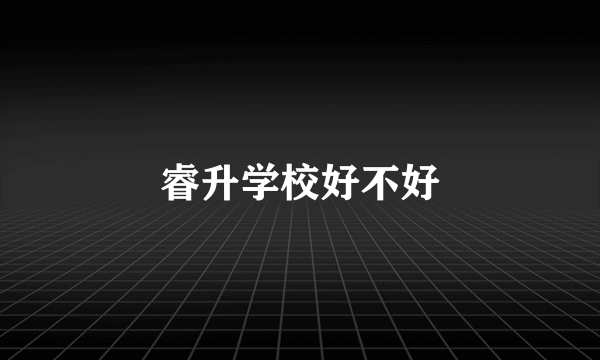 睿升学校好不好