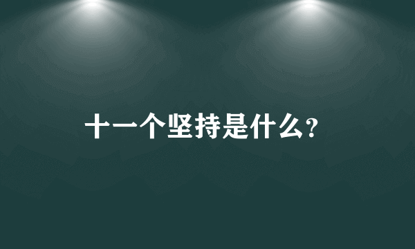 十一个坚持是什么？