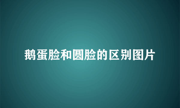 鹅蛋脸和圆脸的区别图片