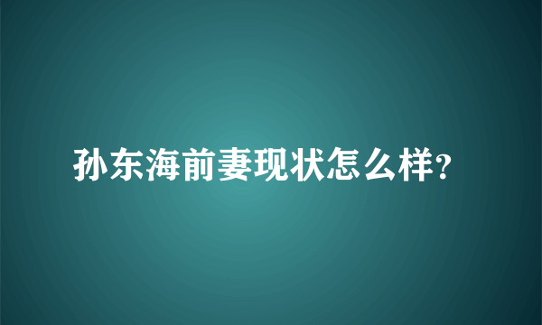 孙东海前妻现状怎么样？