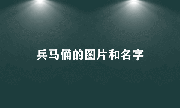 兵马俑的图片和名字