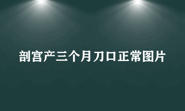 剖宫产三个月刀口正常图片