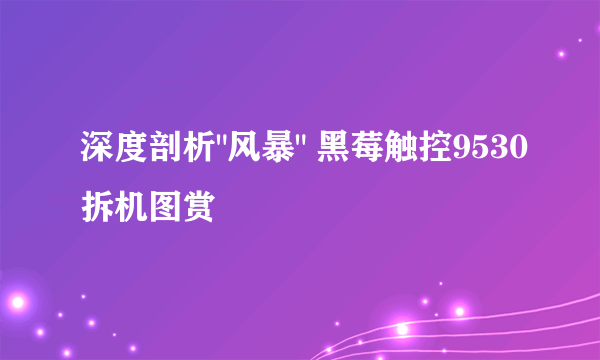 深度剖析