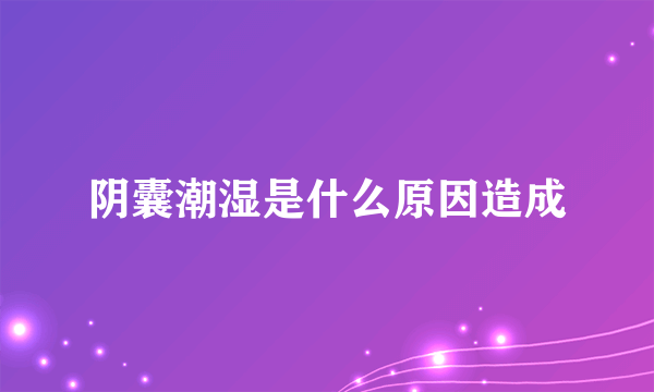 阴囊潮湿是什么原因造成