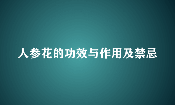 人参花的功效与作用及禁忌