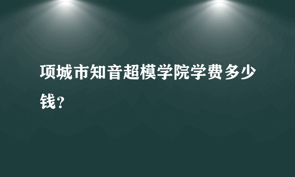 项城市知音超模学院学费多少钱？