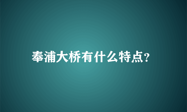 奉浦大桥有什么特点？