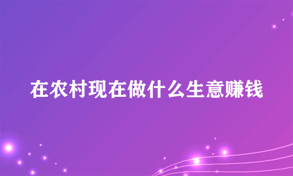 在农村现在做什么生意赚钱
