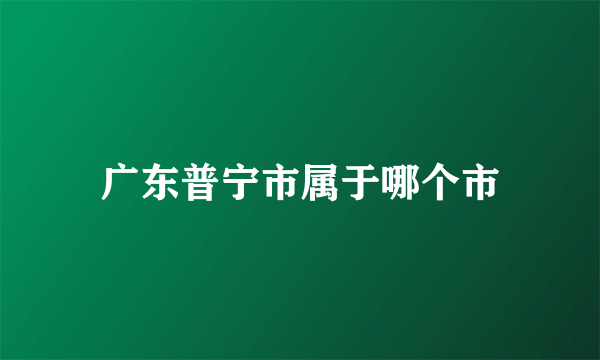 广东普宁市属于哪个市