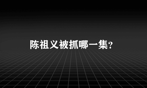 陈祖义被抓哪一集？