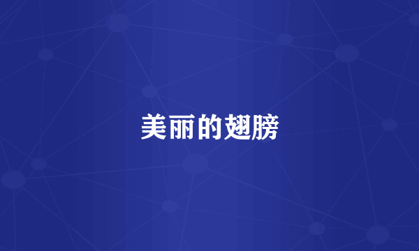 美丽的翅膀
