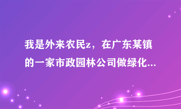 我是外来农民z，在广东某镇的一家市政园林公司做绿化工，自去年7月1日起承包了一条路段的绿化带责任区，至今沒有签定书面劳动合同，没买社保，现通知不承包给我做了，我可以向公司提出双倍的工资赔偿吗？还有我自已买的工具可否赔损吗？