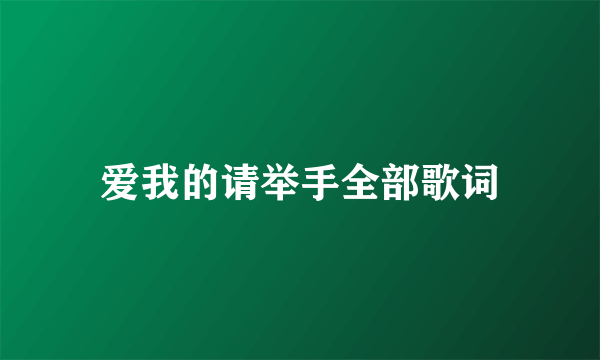 爱我的请举手全部歌词