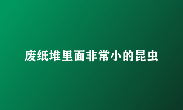 废纸堆里面非常小的昆虫