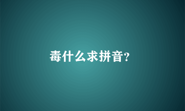 毒什么求拼音？