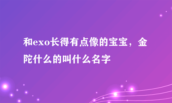 和exo长得有点像的宝宝，金陀什么的叫什么名字