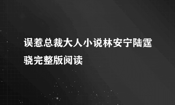误惹总裁大人小说林安宁陆霆骁完整版阅读