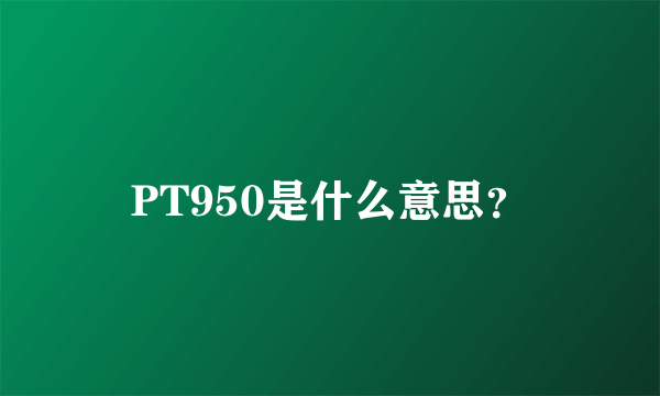 PT950是什么意思？