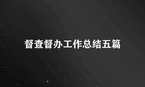 督查督办工作总结五篇