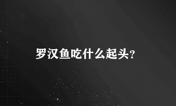 罗汉鱼吃什么起头？