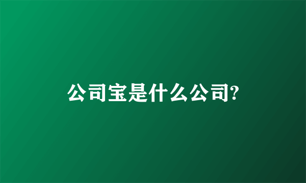 公司宝是什么公司?