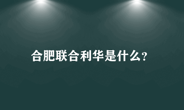 合肥联合利华是什么？